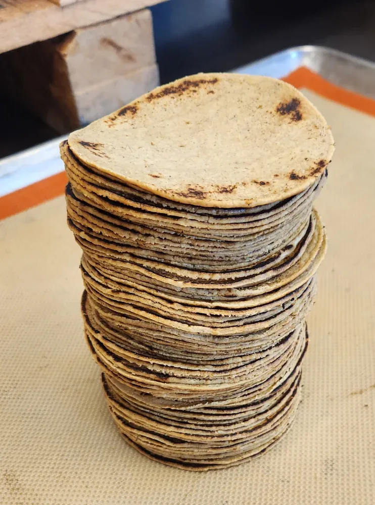 A tall stack of freshly made organic corn tortillas with char marks from the cook
