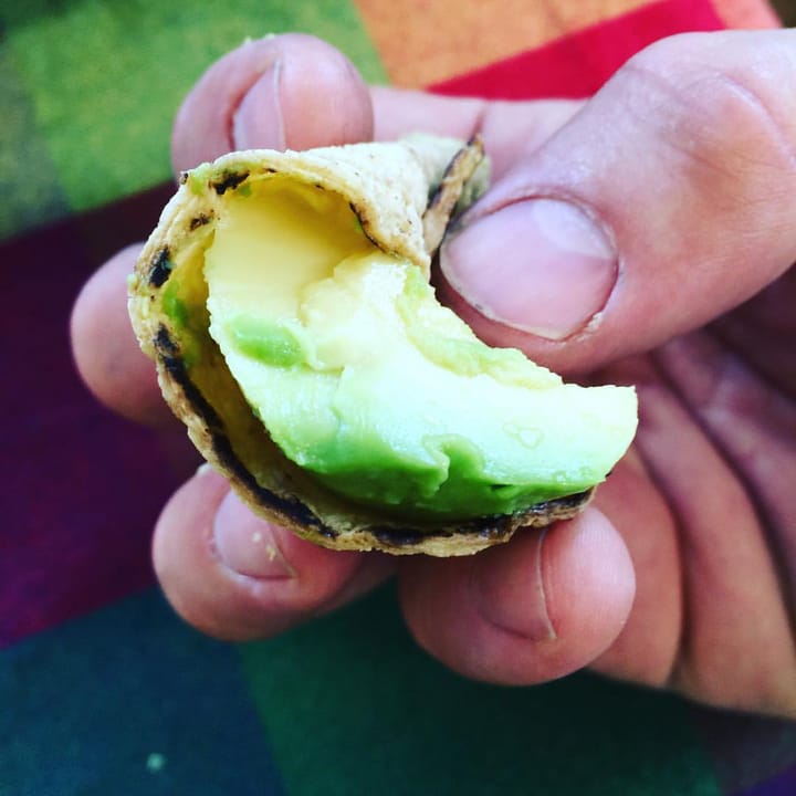 Avocado, salt and a warm corn tortilla: the perfect snack?